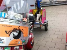 März 2014 Vespatreffen Verkehrshaus Luzern